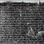 EFE0_CAM16677-K.149-copy